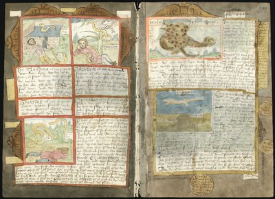 Libro de peces de Adriaen Coenen - KB 78 E 54 - folios 243v (izquierda) y 244r (derecha) de Adriaen Coenen